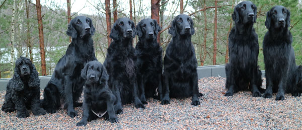 charmaqua-zaga-giganorahjoa.jpg