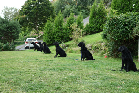 OPPVAKTE2VALPETREFF230JULI1