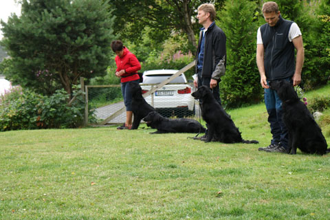 OPPVAKTE4VALPETREFF230JULI1