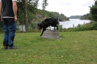OPPVAKTE9VALPETREFF230JULI1