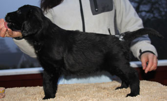 P220117GRMagnusStående