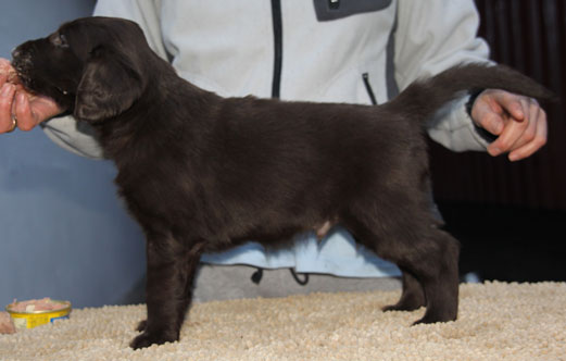 Q270117ZaltoStående